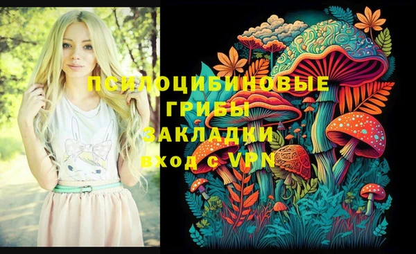 дурь Заводоуковск