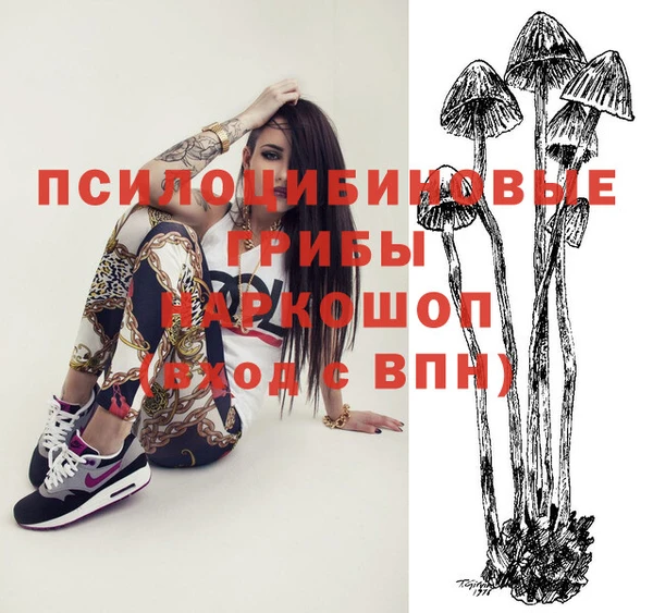 дурь Заводоуковск