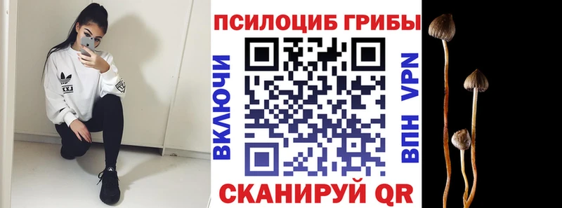 Галлюциногенные грибы Cubensis  Купить  Заозёрск 
